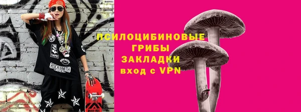 метадон Белокуриха