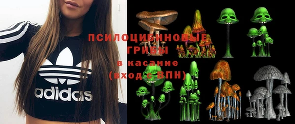 метадон Белокуриха
