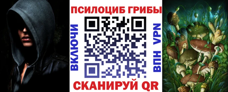 как найти наркотики  Окуловка  Галлюциногенные грибы мицелий 